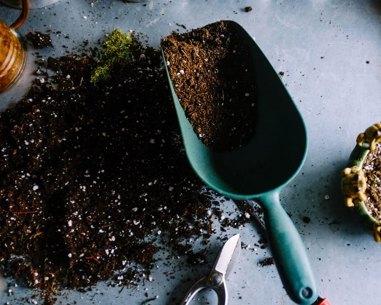 trowel with soil in it