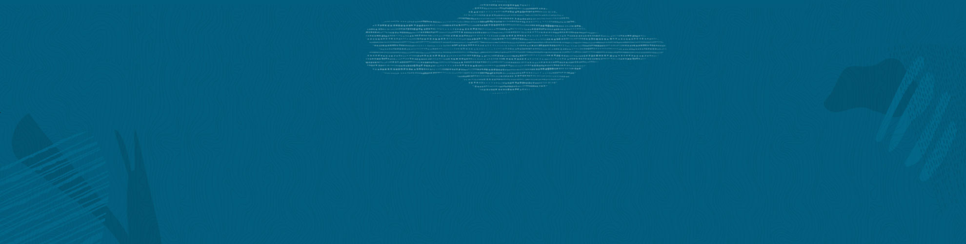 Oracle NetSuite ecommerce integration