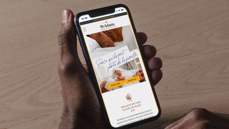 McAdams France website on mobile device