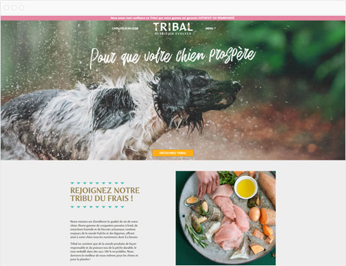 Tribal pet foods France ecommerce website