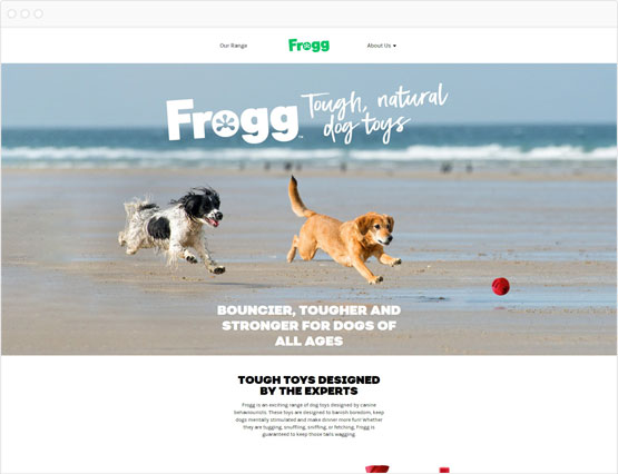 Frogg homepage