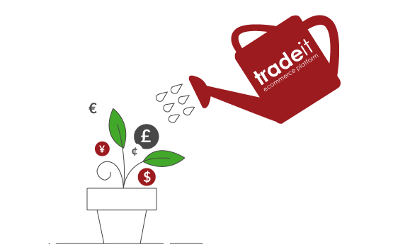 Ecommerce growth