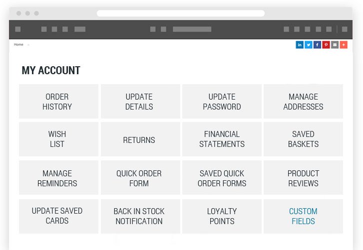 Browser showing example of the tradeit ecommerce platform's my account tools